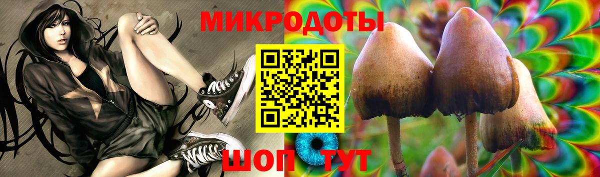 где продают наркотики  Галлюциногенные грибы Magic Shrooms  Галлюциногенные грибы Psilocybe  Вход с VPN  Наро-Фоминск 